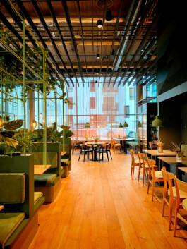 schneiderbrett design solutions | amadeus schneider