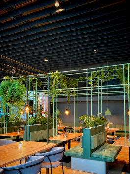 schneiderbrett design solutions | amadeus schneider