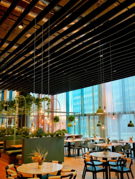 schneiderbrett design solutions | amadeus schneider