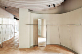  schneiderbrett design solutions | amadeus schneider