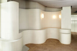  schneiderbrett design solutions | amadeus schneider