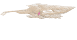  schneiderbrett design solutions | amadeus schneider