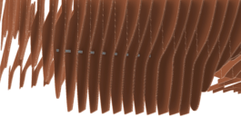  schneiderbrett design solutions | amadeus schneider