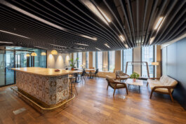  schneiderbrett design solutions | amadeus schneider