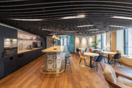  schneiderbrett design solutions | amadeus schneider