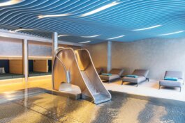  schneiderbrett design solutions | amadeus schneider