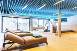  schneiderbrett design solutions | amadeus schneider