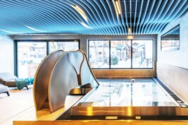  schneiderbrett design solutions | amadeus schneider