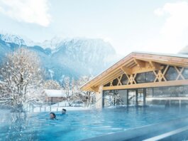  schneiderbrett design solutions | amadeus schneider